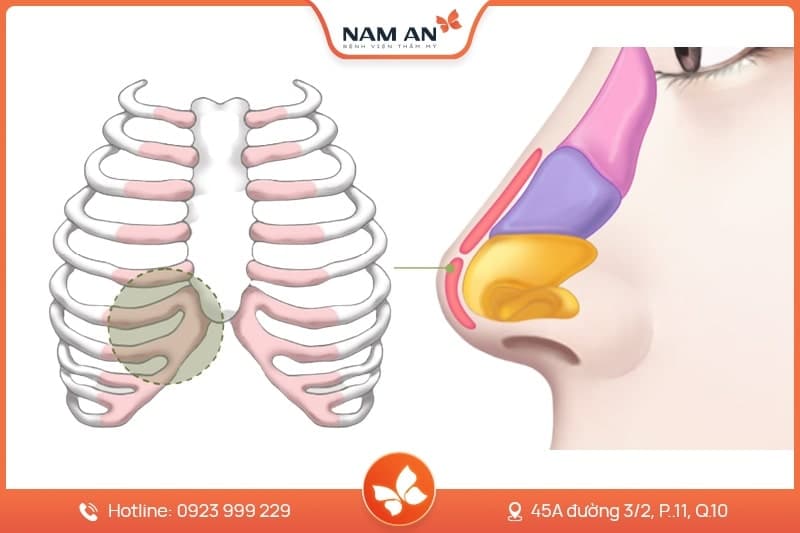 Phẫu Thuật Cuộn Cánh Mũi Thon Gọn Tại BVTM Nam An (6)