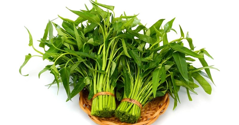 Sau Khi Nâng Ngực Cần Kiêng Ăn Gì Và Chăm Sóc Như Thế Nào